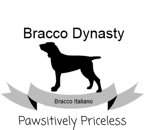 Bracco Dynasty